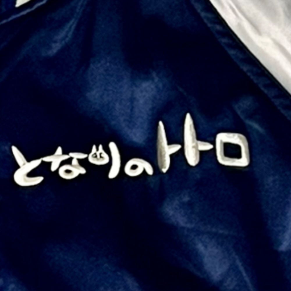 My Neighbor Totoro Jacket